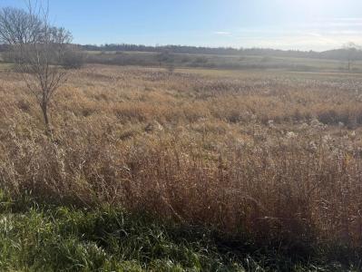 18 Mile Road, Big Rapids, Michigan 49307, États-Unis