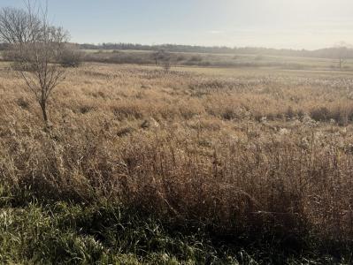 18 Mile Road, Big Rapids, Michigan 49307, États-Unis