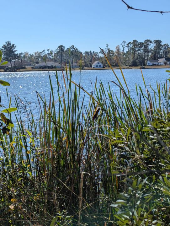 0 Bay Meadows Dr, Douglas, 乔治亚州 31535, 美国