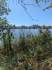 0 Bay Meadows Dr, Douglas, 乔治亚州 31535, 美国