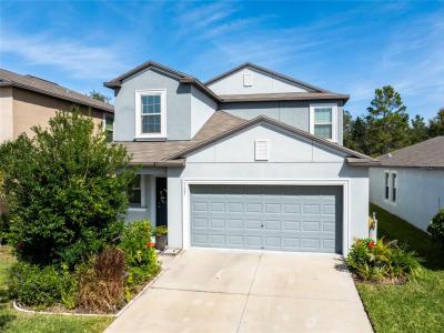 5127 Sable Chime Drive, Wimauma, Floride 33598, États-Unis