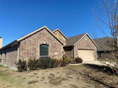 1217 Chase Lane, Seagoville, Texas 75159, Stati Uniti