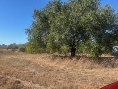 8913 S Peaceful Court, Granbury, Texas 76048, USA