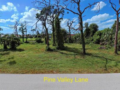 26 Pine Valley Lane, Rotonda West, Florida 33947, Amerika Birleşik Devletleri