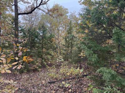 TBD Russell Road, Hardy, Arkansas 72542, Stati Uniti