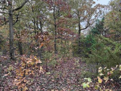 TBD Russell Road, Hardy, Arkansas 72542, Stati Uniti