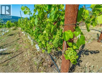 9269 HIGHWAY 6 OTHER, Coldstream, British Columbia V1B 3B5, Canada