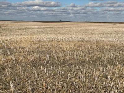 UNKNOWN, Medora, Manitoba R0M 1K0, Canada