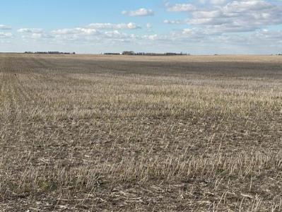 UNKNOWN, Medora, Manitoba R0M 1K0, Canada