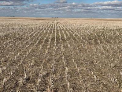 UNKNOWN, Medora, Manitoba R0M 1K0, Canada