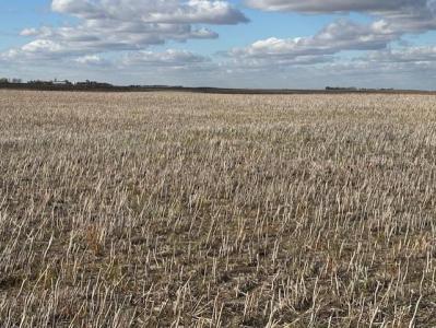 UNKNOWN, Medora, Manitoba R0M 1K0, Canada