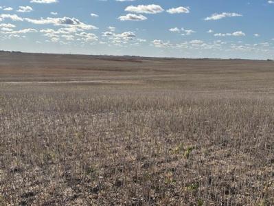 UNKNOWN, Medora, Manitoba R0M 1K0, Canada