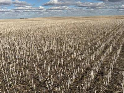 UNKNOWN, Medora, Manitoba R0M 1K0, Canada