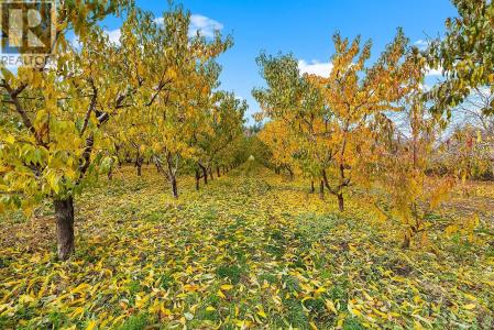 911 32ND AVENUE SOUTH, Erickson, British Columbia V0B 1G1, Canada