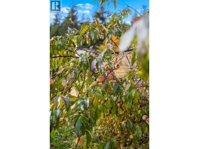 911 32ND AVENUE SOUTH, Erickson, British Columbia V0B 1G1, Canada