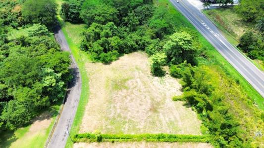 Orotina Orotina, アラフエラ 00001, コスタリカ