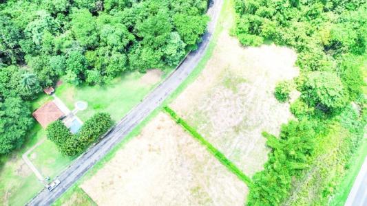 Orotina Orotina, アラフエラ 00001, コスタリカ