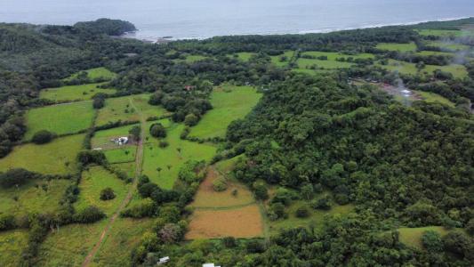 Playa Coyote Bejuco Nandayure, Guanacaste 00001, Costa Rica