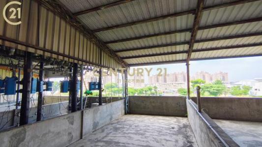 自立南路, Pintung, Pingtung County 900, Taïwan