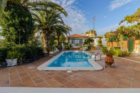 Torres Novas, Santarem 2350-772, Portugalia