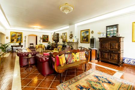 Torres Novas, Santarem 2350-772, Portugalia