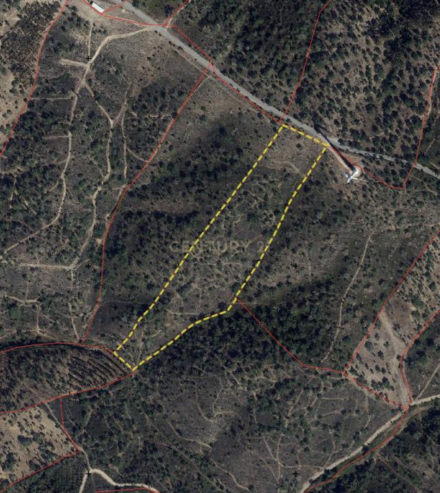 Almodôvar, Beja 7700-260, Portugal