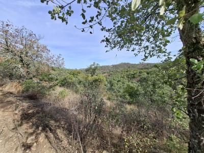 Almodôvar, Beja 7700-260, Portugal