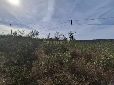 Almodôvar, Beja 7700-260, Portugal