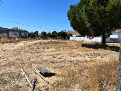 Alcácer Do Sal, Setubal 2595-011, Portogallo