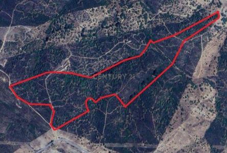 Almodôvar, 베자 7700-260, 포르투갈