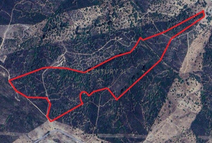 Almodôvar, Beja 7700-260, Portugal