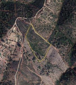 Almodôvar, Beja 7700-260, Portugal