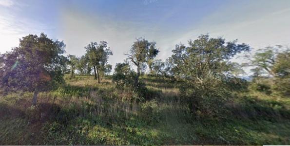 Almodôvar, Beja 7700-260, Portugal