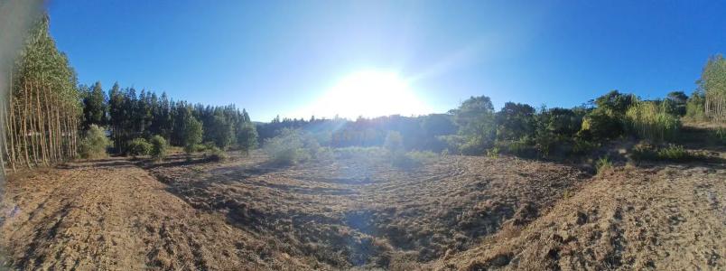 Azambuja, Lisboa 2065-016, Portugal