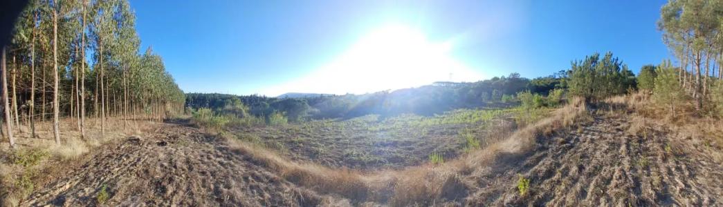 Azambuja, Lisboa 2065-016, Portugal