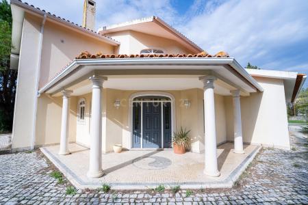 Alcanena, Santarem 2380-639, Portugal