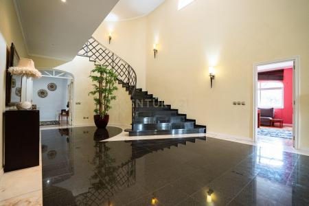 Alcanena, Santarem 2380-639, Portugal