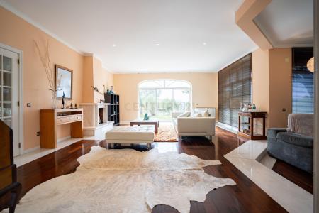 Alcanena, Santarem 2380-639, Portugal