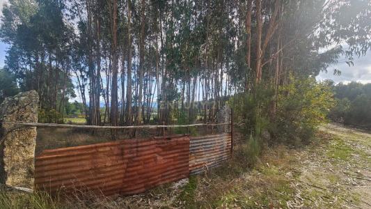 Nelas, Viseu 3520-211, Portugal