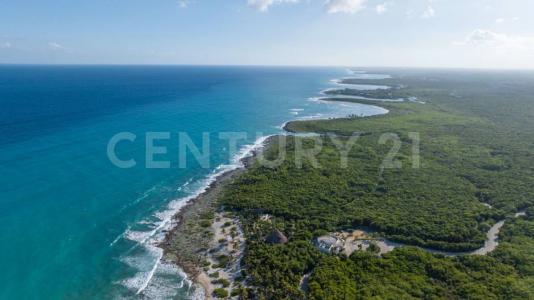 Retorno Xaac Lote 175,, Solidaridad / Riviera Maya, Quintana Roo 77729, Mexico