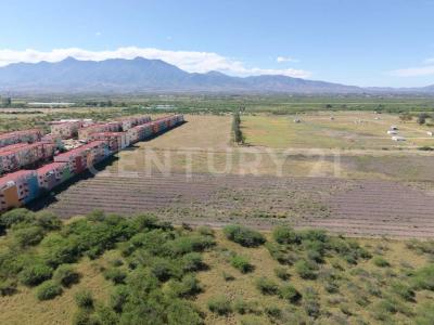 Tlacolula De Matamoros, Oaxaca 70403, Mexico