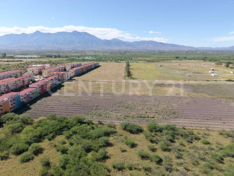 Tlacolula De Matamoros, Oaxaca 70403, Mexico