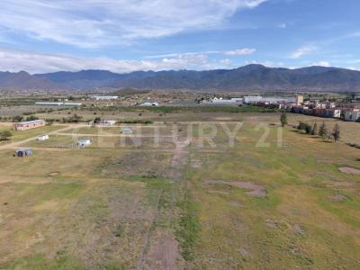 Tlacolula De Matamoros, Oaxaca 70403, Mexico