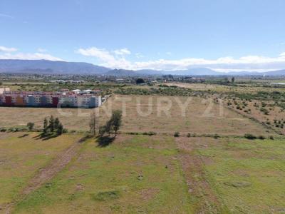 Tlacolula De Matamoros, Oaxaca 70403, Mexico