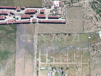 Tlacolula De Matamoros, Oaxaca 70403, Mexico