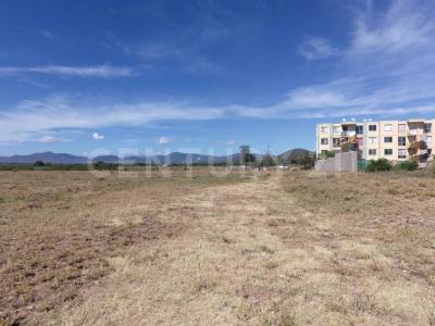 Tlacolula De Matamoros, Oaxaca 70403, Mexico