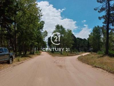 BARRIO SERENA 1 NRO 399 399, Pinamar, Buenos Aires Costa Atlántica 00001, Argentina