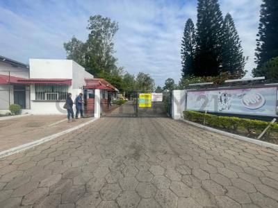 Este, Santa Cruz 00001, 玻利维亚