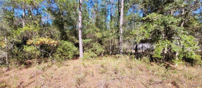 1837 W Water Lily Drive, Citrus Springs, Florida 34434, Estados Unidos