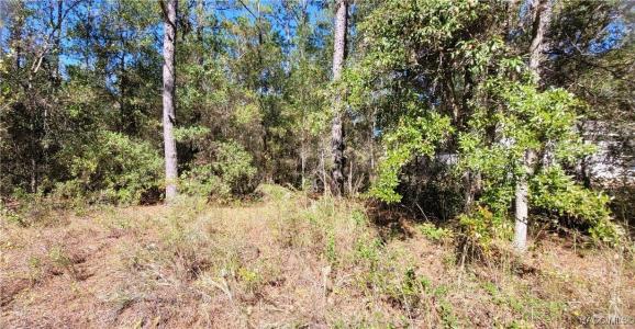 1837 W Water Lily Drive, Citrus Springs, Florida 34434, Estados Unidos